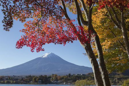 枫树叶改在富士山，日本的秋天色彩