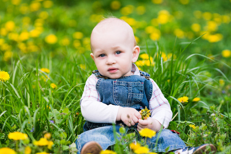 可爱的小宝贝小男孩坐在草坪上，蒲公英