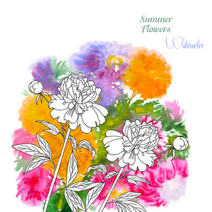 背景与夏天的花和水彩画02
