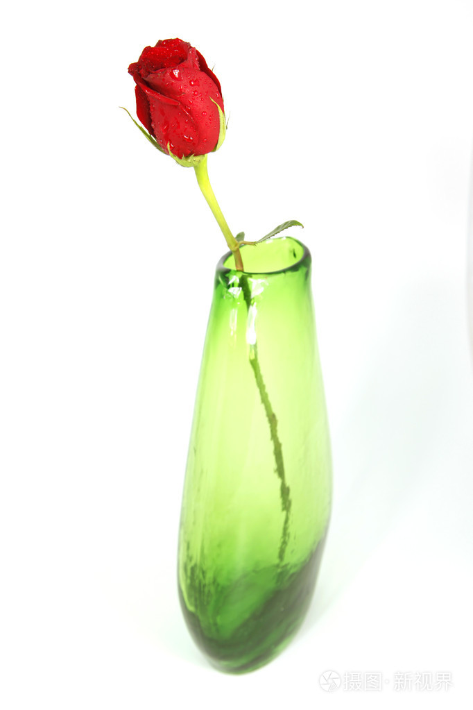 绿色花瓶里的一朵红玫瑰
