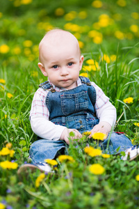 可爱的小宝贝小男孩坐在草坪上，蒲公英