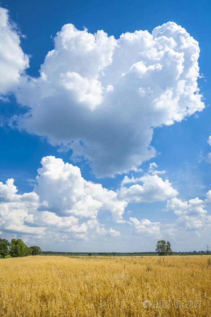 农业景观,云彩在地平线上