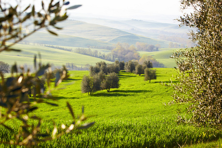 农村，san quirico 奥斯塔山谷，托斯卡纳意大利