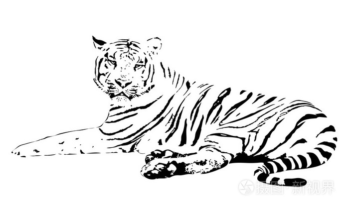 一只老虎的剪影