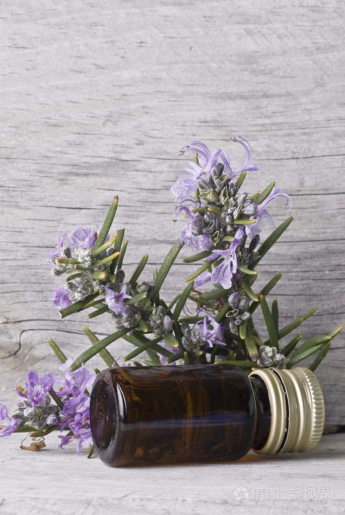 迷迭香和一罐照片-正版商用图片0bcpqe-摄图新视界
