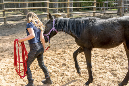 小女孩和小马驹,她最好的朋友照片