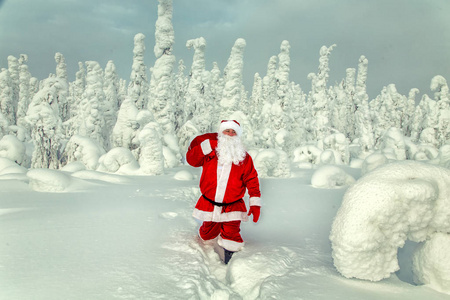 在拉普兰的正宗圣诞老人。壮观的雪覆盖的风景