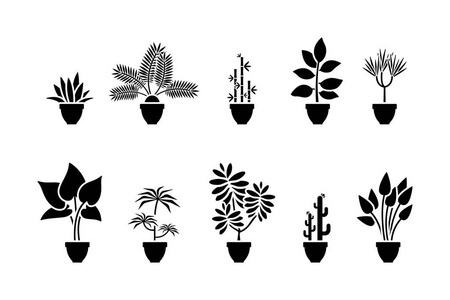 植物象形图片
