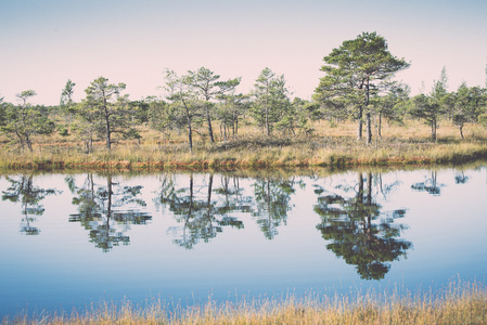 美丽宁静的风景中的朦胧的沼泽湖复古 vintag