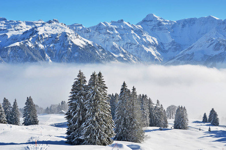 美丽雄伟的山脉在布劳恩瓦尔德, 瑞士