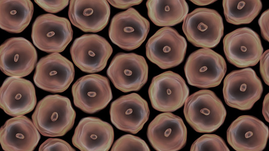 死亡细胞聚集在一起图片