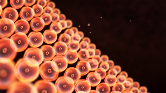 基因排列细胞排列在附近墙照片