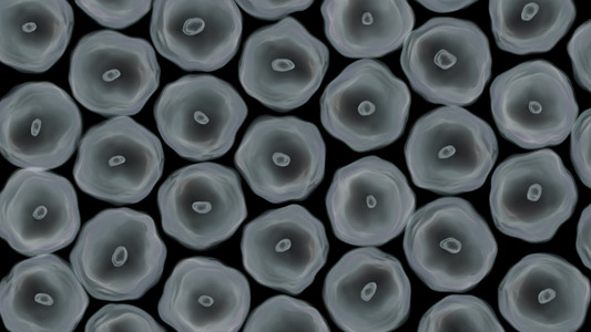 死亡细胞聚集在一起照片