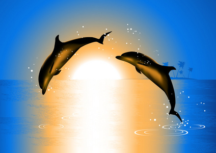 在夕阳下的海豚