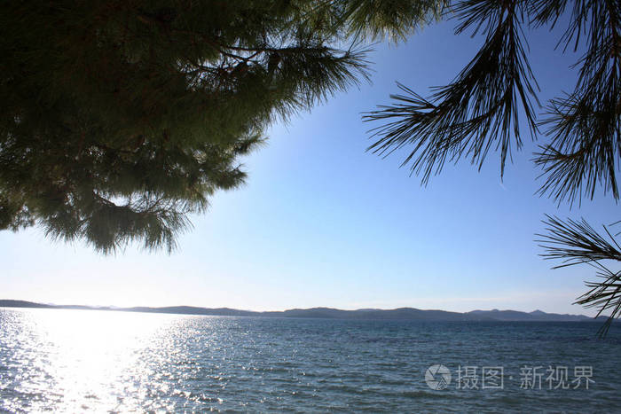 亚得里亚海风景松树