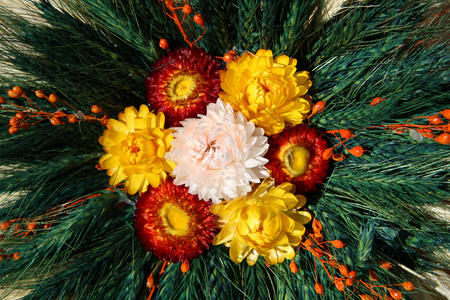 塔铁娘子埃菲尔铁塔 (昵称拉达姆德弗,铁娘子),到埃菲尔铁塔 (昵称