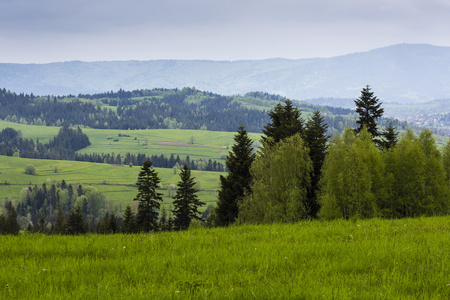 美丽的景色的 Beskidy 山，波兰