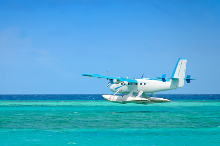 约旦在长途飞行后降落在死树是武术雄鹰冲浪者在怀美亚湾降落飞机在