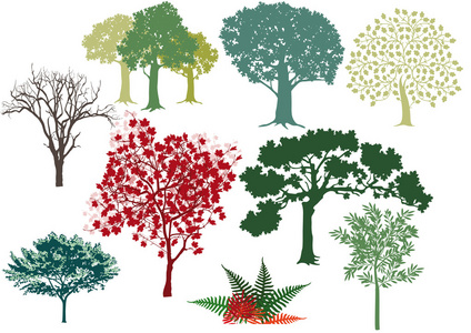 落叶树图片 落叶树素材 落叶树插画 摄图新视界 落叶树图片 落叶树素材 落叶树插画 摄图新视界