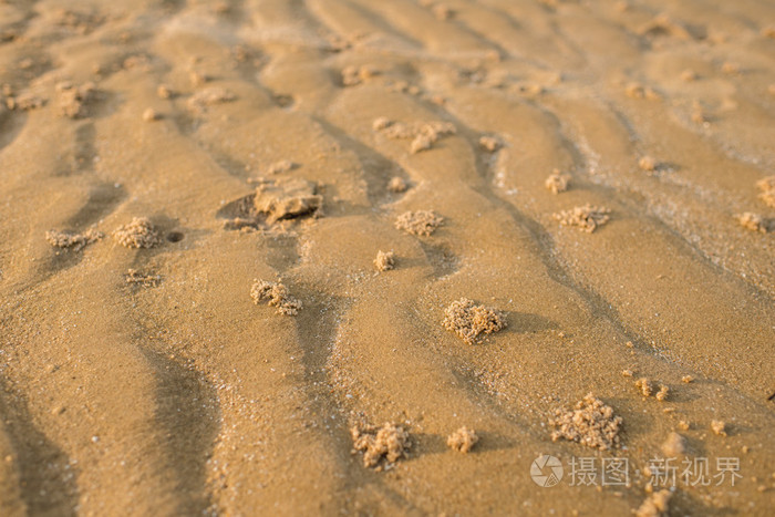 潮湿细粒金沙滩上的沙子波浪纹理.沙滩上的沙子 backdr