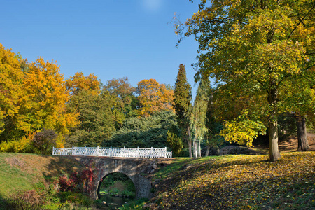白色小桥的秋季景观图片
