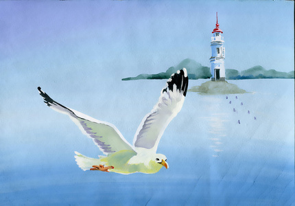 水彩的海鸥图片-水彩的海鸥素材-水彩的海鸥插画-摄图新视界