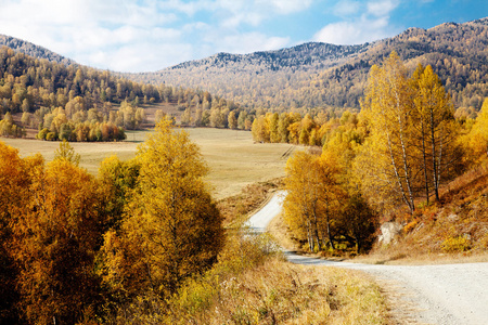 阿尔泰山间的道路。秋天