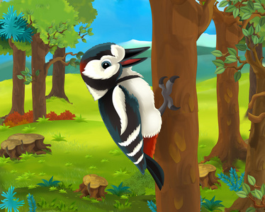 卡通啄木鸟照片