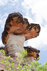 蘑菇石和蔚蓝的天空，天然石头作为蘑菇在 ph 值