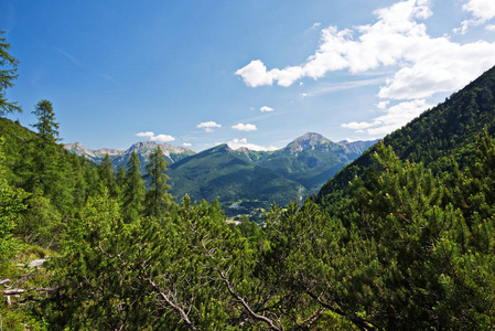 景观徒步旅行到 Pacherini 避难所从 Forni di Sopra