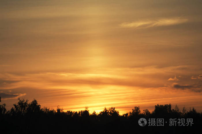太阳的光清晨炎炎夏日