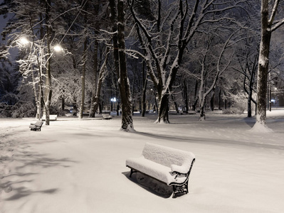 在利沃夫市中心的美丽的夜间冬季公园 乌克兰 与积雪覆盖的树木和长凳