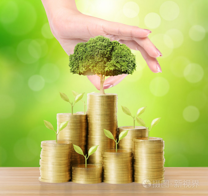 手拿着年轻绿色的植物和硬币钱