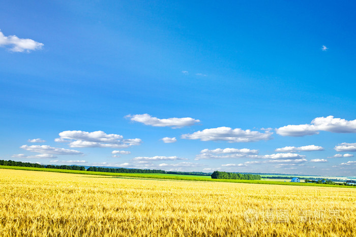 限制暂无图片作者ivantsov新媒体授权标准授权扩展授权如何选择jpg大