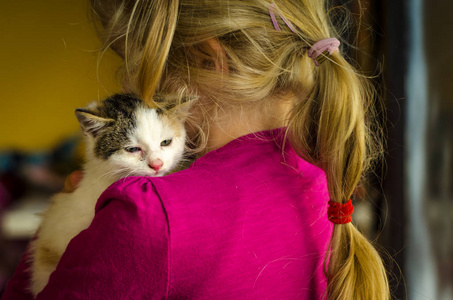可爱的金发女孩抱着一只猫