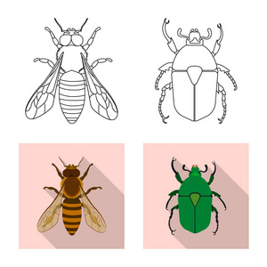 昆虫和飞行标志的向量例证。收集昆虫和元素矢量图标的股票