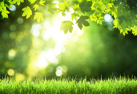 光阳光灿烂的日子图片