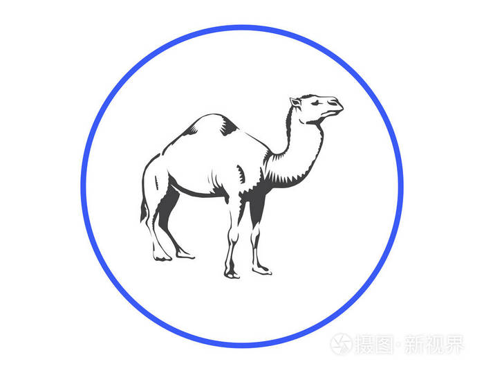 骆驼的图标。沙漠动物