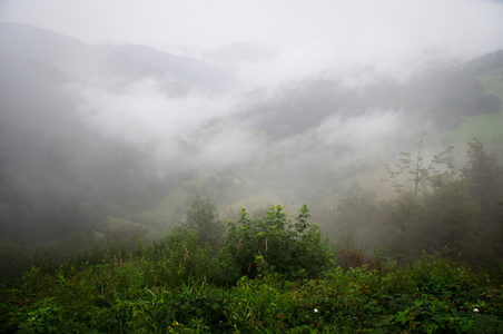 雾在山中