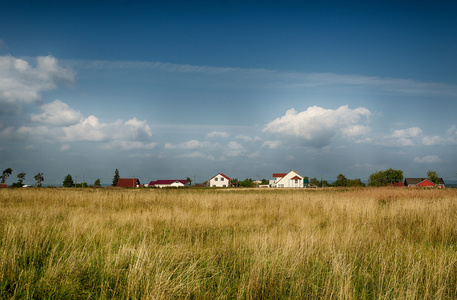 乡村景观。明确夏天多天。一片草地，在村庄的背景