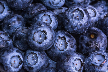 新鲜成熟的蓝莓与滴露。浆果背景。宏照片
