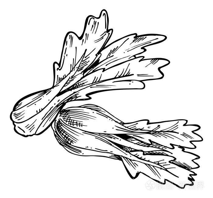 卡通榨菜厂插画-正版商用图片0bfmva-摄图新视界