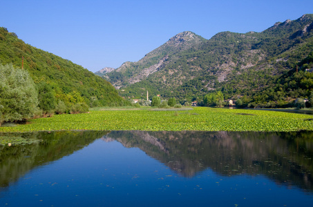 在斯卡达尔湖国家公园 黑山河 Crnojevica