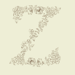 花卉的字体。字母 z