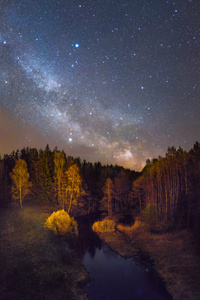 繁星闪烁的夜晚，在森林河