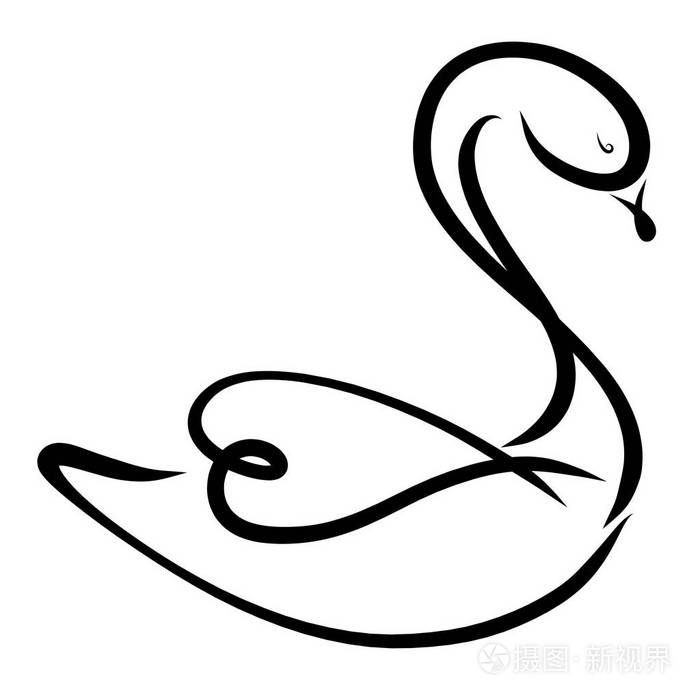 一只美丽的漂浮天鹅, 有一颗心形的翅膀