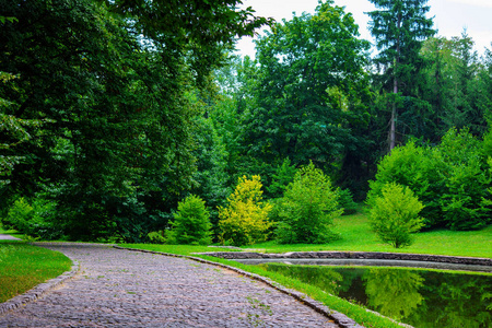 夏天在美丽的绿色公园湖附近的石头路的照片