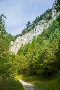 在低 Tatra 地区森林中的悬崖美丽的风景。阳光明媚, 斯洛伐克风光缤纷, 欧洲