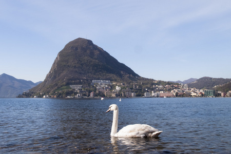 Lugano，新的天鹅