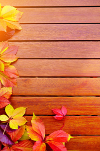 秋天的叶子上木制背景